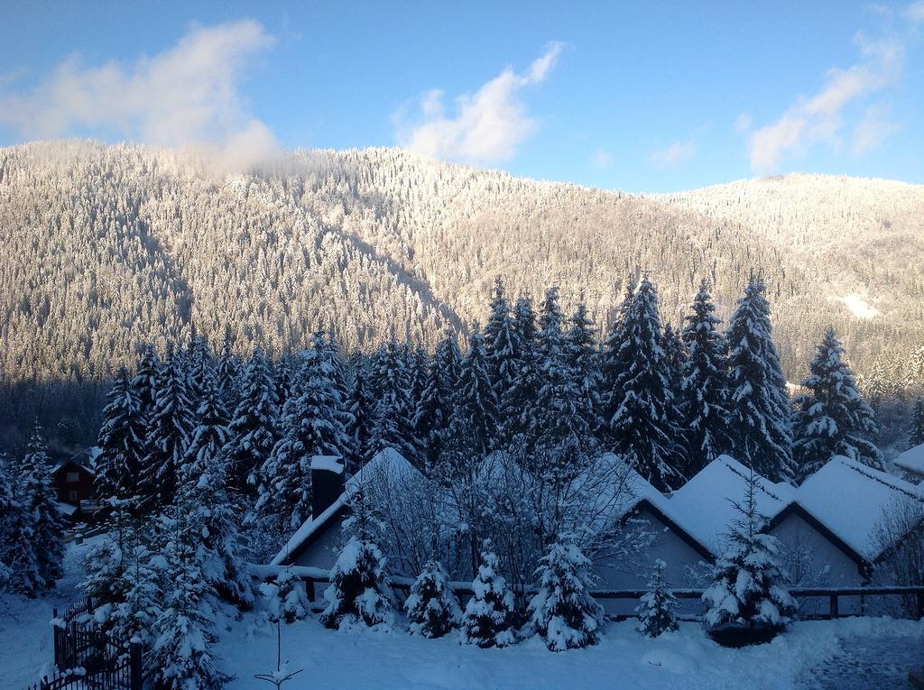 Villa Alpiyka Szlavszke Kültér fotó