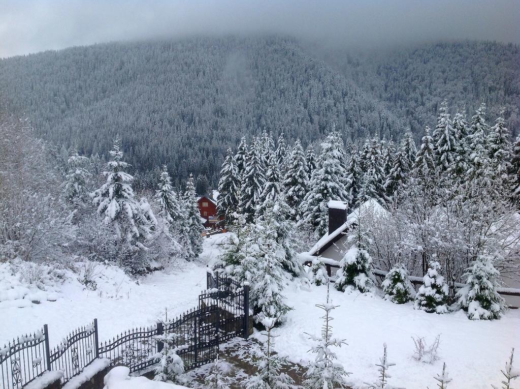 Villa Alpiyka Szlavszke Kültér fotó